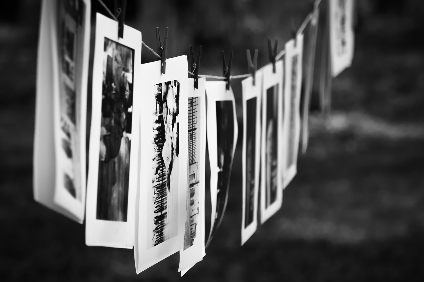 Black and white photographs